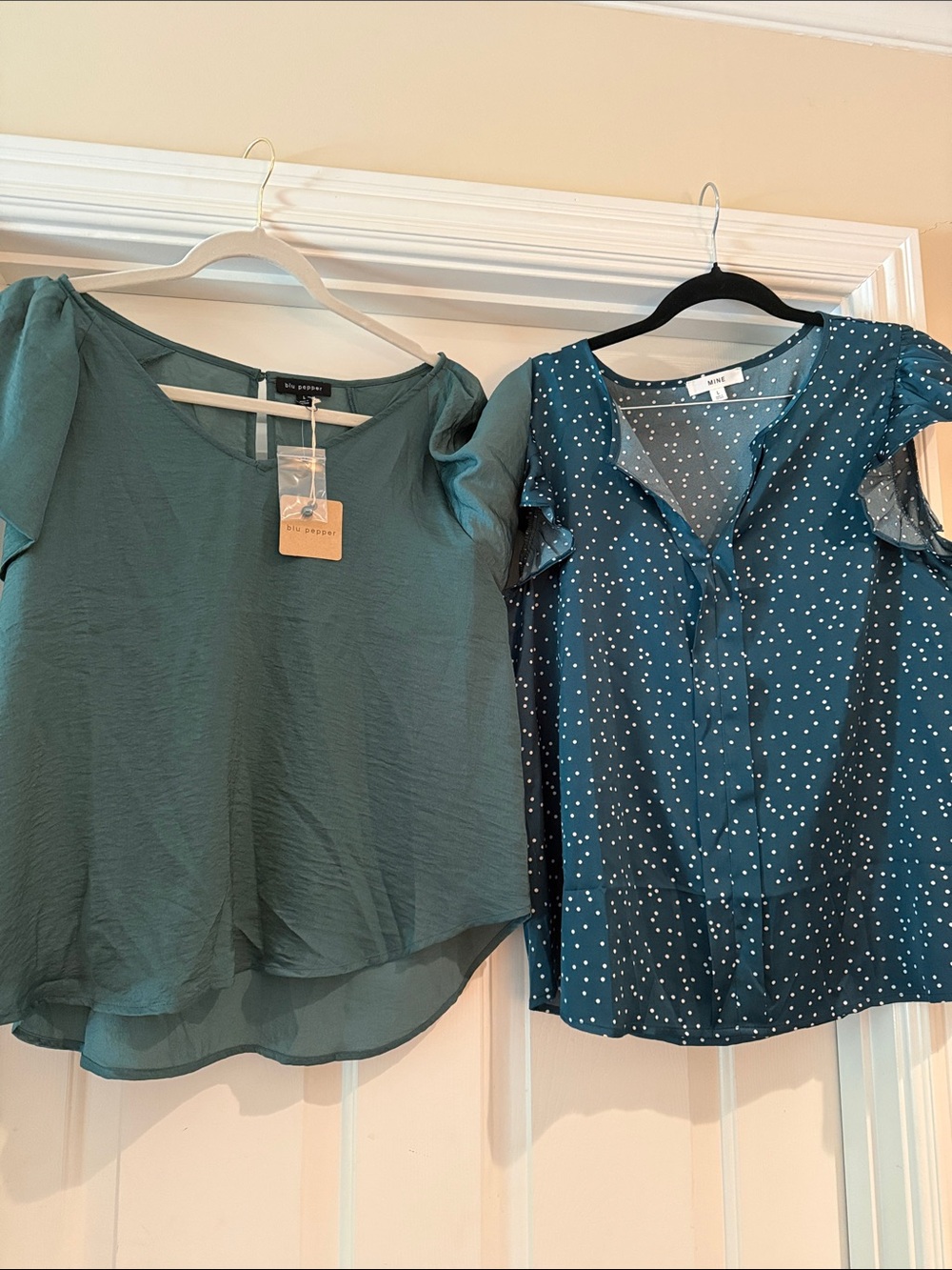 Blu Pepper Teal Solid Blouse & Mine Teal Polka Dot Button Front Top
